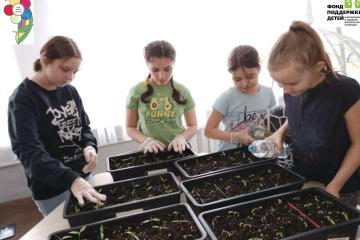 Занятие по пикировке рассады и помидоров в рамках "Семейные мастерские"